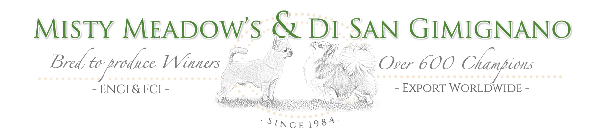 Misty Meadow's & Di San Gimignano